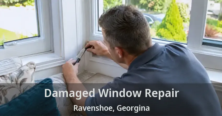 Damaged Window Repair Ravenshoe, Georgina - ON