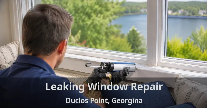 Leaking Window Repair Duclos Point, Georgina - ON