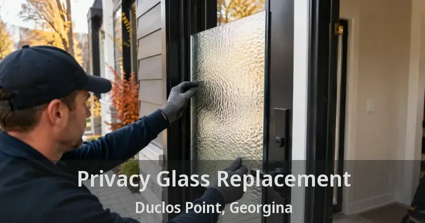 Privacy Glass Replacement Duclos Point, Georgina - ON